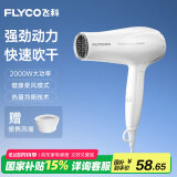 飞科（FLYCO）电吹风机家用发廊大功率2000W速干恒温便携可折叠白色FH6232