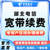 中国电信（CHINA TELECOM） 【宽带续费】湖北电信宽带20M50M100M武汉宽带续费 360元续费（请留言宽带账号和联系电话）