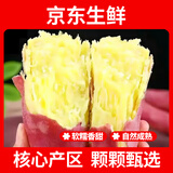 绿水秦川正宗陕西板栗红薯蜜薯当季新鲜蔬菜生鲜自然熟地瓜番薯果蔬整箱 甄选5斤特选超值装 净重约为4斤+