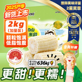 东北农嫂黄糯玉米软糯香吉林原产粘玉米真空低脂饱腹粗粮代餐 【免切免洗】白甜糯玉米段2kg约15段