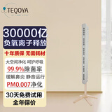 得康氧 teqair450小粒径负氧离子发生器家用负离子空气净化器除甲醛无臭氧无噪音无耗材 teqair450白色