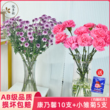 悦多彩优质水养鲜切花 母亲节三八节花束 昆明基地现采直发顺丰生活鲜花 康乃馨10支+小雏菊5支