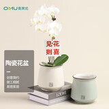 奥美优花盆陶瓷轻奢简约大号家用室内多肉绿植吊兰蝴蝶兰花客厅阳台桌面