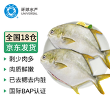 环球水产 冷冻南海二去金鲳鱼900g2条 去鳃去脏 深海鱼生鲜鱼类  家庭聚餐