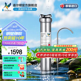 道尔顿（Doulton）净水器家用直饮英国原装进口  道尔顿明星爆款DIS厨下矿物质净水机自来水过滤0废水不用电 DIS套机(自带/加配各1芯共2支)