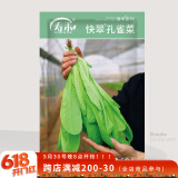 寿禾 孔雀菜种子种苗直立生菜春季蔬菜种籽 潍丰快翠孔雀菜种子20g