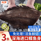朵芙鲽鱼超大 免处理鲽鱼身比目鱼 鲽鱼段冷冻鸦片鱼海鱼鱼类 精选鲽鱼身 500g *3条