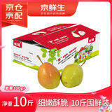 京鲜生 红香酥梨 净重10斤 单果100g+ 生鲜水果礼盒