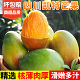 甜果源 四川攀枝花凯特芒果 树上青黄皮熟芒果应季时令新鲜水果送礼盒品 5斤精选果【单果500g+】净重4.5-5斤
