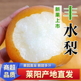 泽华果品山东莱阳丰水梨 脆甜多汁当季新鲜水果整箱源头直发包邮 丰水梨净重4.5斤4-6个大果 源头直发