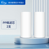 爱诗普霖（iSpring） 美国全屋小胖净水器滤芯配件 PP棉 压缩活性炭活性炭 PP棉2只
