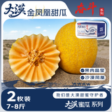京鲜生 大漠蜜瓜系列 大漠金凤凰甜瓜 2枚 净重7-8斤 水果蜜瓜 源头直发