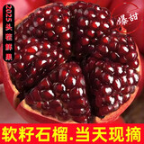 顺丰10斤突尼斯软籽石榴特大果四川会理新鲜水果当季整箱包邮无籽 精选带箱5斤大果