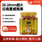 1号会员店原味超大带壳夏威夷果500g 大果径26mm坚果零食罐装附赠开口器