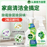 冰箱除菌除霉组合 滴露家居喷雾500ml+除霉喷雾500ml冰箱胶圈可用