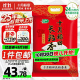 十月稻田 2025年新米 长粒香大米 20斤（东北大米 香米 10公斤）