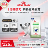 皇家幼猫离乳期孕期哺乳期全价配方奶糕猫粮FW34幼猫主粮1KG