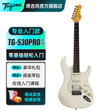 Tagima电吉他塔吉玛TG510 530 635单摇单单双男女初学者入门电吉他套装 TG530PROWV单单双【复古白】39英寸