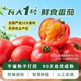 京鲜生&瓦大1号番茄自然熟孕妇宝宝酸甜爆汁礼盒 净4.5斤单60g+源头直发