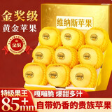 甜萌果蔬山东维纳斯苹果黄金好吃新鲜苹果平安夜水果礼盒圣诞节送礼 9斤12A甄选装【单果约90-100mm】净8.5
