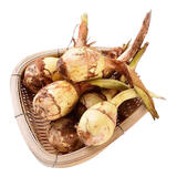 乔诚苏北新鲜农家山茨菇白慈姑茨菰燕尾草地栗芽菇时令蔬菜现挖 3斤