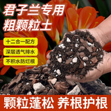 花大师 君子兰专用土营养土君子兰土专用营养土花土盆栽土壤种植土肥料 升级版精配土7升 含多种石料礼品