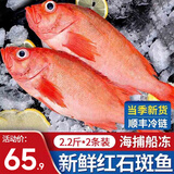 鲜拔头筹 新鲜红石斑鱼 大眼鱼富贵鱼深海鱼生鲜鱼类 海鲜水产红鱼 超大1.8-2.2斤*2条