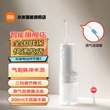 小米（MI） 米家电动冲牙器2 家用洗牙器美牙仪 牙齿冲洗器清洁器 口腔护理  3档模式 专业微气泡喷嘴长续航 米家电动冲牙器2【升级款】