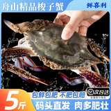 梭子蟹鲜活特大野生舟山大螃蟹海鲜新鲜冷冻海蟹水产飞蟹白蟹顺丰 9两以上/只 【净重5斤大梭子蟹】