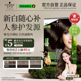 施华蔻（Schwarzkopf）怡然滋养染发霜4.1亚麻冷棕 染发剂染发膏植物人参 多次盖白补染