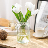极度空间 玻璃花瓶插花瓶绿植物水培养生态瓶养花容器家居装饰摆件 
