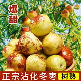 鲜级佳山东沾化冬枣【多地次日达】 新鲜大枣冰糖脆甜现摘水果脆青枣 果园直摘尝鲜  净重1.8斤
