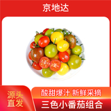 京地达山东圣女果三色组合 净重4.5斤 单果8g+ 水果小番茄源头直发包邮