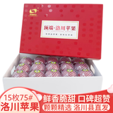 洛川苹果陕西延安特产红富士时令苹果水果礼盒送苹果生鲜新鲜脆甜整箱批发 15个75mm 心选果 礼盒装