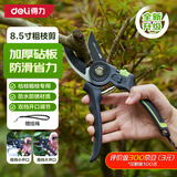 得力（deli）修枝剪刀树枝剪 防滑砧板果树剪花枝剪盆栽花卉园林园艺修枝神器