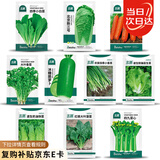 北蔬 萝卜白菜种子香菜菠菜胡萝卜生菜秋季种 10种秋冬季蔬菜种子套餐
