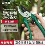 安赛瑞修枝剪 碳钢省力园林果枝剪 园艺盆栽花卉剪花枝剪5P00044