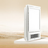 公牛（BULL）风暖浴霸2650W双电机快速制热独立换气超薄箱体按键开关GY28AJT