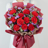 百花馆鲜花速递康乃馨花束真花生日礼物送妈妈母亲节长辈同城配送小时达 健康长久|U48