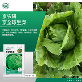 京农研农科院蔬菜种子大叶香菜四季小葱鸡毛菜红苋菜芝麻菜空心菜种籽孑 京全球结球生菜 1克