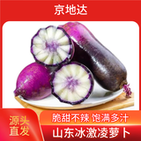 京地达山东冰激凌水果萝卜净重8.5斤单果重400g+ 新鲜蔬菜 源头直发包邮