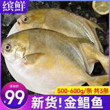 缤鲜 山东 新鲜冷冻金鲳鱼净重 500-600g/条 3条装 源头直发