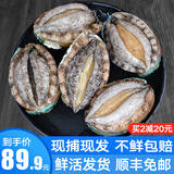 鲜拔头筹 青岛鲜活大鲍鱼海捕 大号鲍鱼鲜活冷冻生鲜贝类火锅烧烤特大鲍鱼 【活鲜】鲜活中鲍鱼 净重500g  15-18头