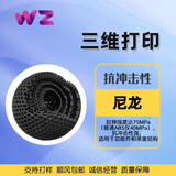 问舟3d打印手板模型定制加工毕业设计工业模型 树脂尼龙金属红腊 尼龙