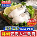 一虾一世界鲜活现剥去壳大号生蚝肉250g/盒 新鲜速冻牡蛎肉海蛎子火锅烧烤 3斤装【250g*6盒】固形物80%