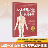 人体经络穴位实用手册