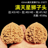 山中玉文玩核桃一对一图狮子头官帽实拍四座楼手把件古麻核头生日礼物 43mm满天星狮子头-31877