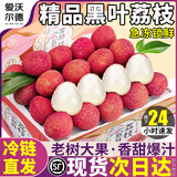 沐小七果蔬黑叶荔枝【顺丰-多地次日达】冻眠荔枝非现摘水果礼盒年货礼盒 9A超级巨无霸【爆甜】单果20g+ 净5斤【超划算-80%选择】主推爆款