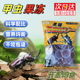 陆地港甲虫果冻昆虫独角仙果冻锹甲饲料食物中华大扁锹甲秋甲虫金龟子 5枚散装（可食用15天左右）