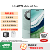 HUAWEI Mate 60 Pro 旗舰新品手机 【现货速发】卫星通话 超可靠玄武架构 华为鸿蒙智能手机 雅川青 12G+256GB【全网通】